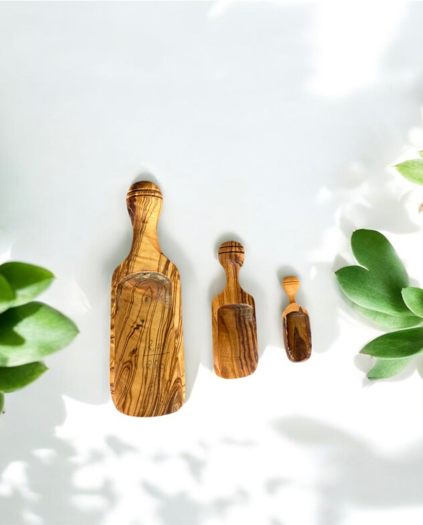Olive Wood Spices Spoon - 3 pcs